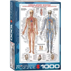 Eurographics (6000-4940) - "Circulatory System" - 1000 pezzi