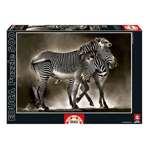 Educa (16359) - "Zebras" - 500 pezzi