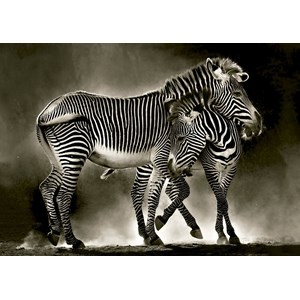 Educa (16359) - "Zebras" - 500 pezzi