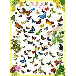 Eurographics (6000-0077) - "Butterflies" - 1000 pezzi