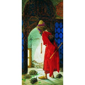 Anatolian (PER3755) - "Turtle Trainer" - 1500 pezzi