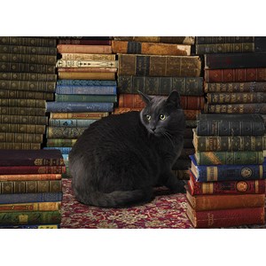 Cobble Hill (51830) - "Library Cat" - 1000 pezzi