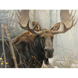 Cobble Hill (52080) - Robert Bateman: "Bull Moose" - 500 pezzi