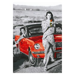 Educa (16360) - "Country Romance" - 1000 pezzi