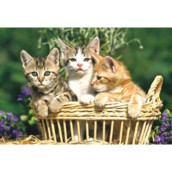 Schmidt Spiele (56499) - "Animals" - 26 48 pezzi