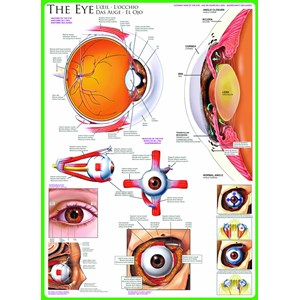 Eurographics (6000-0260) - "The Eye" - 1000 pezzi