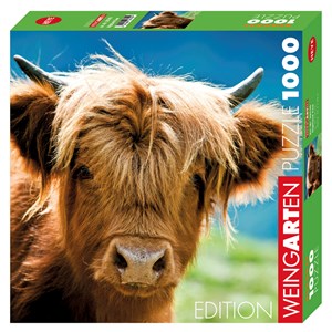 Heye (29745) - "Highland Cow" - 1000 pezzi