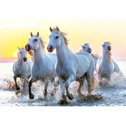 Educa (17105) - "White Horses At Sunset" - 1000 pezzi