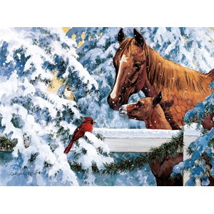 SunsOut (51266) - Douglas Laird: "Fence Top Friends" - 1000 pezzi