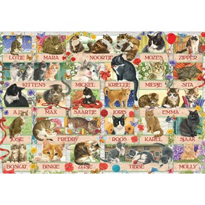 Jumbo (18324) - "Francien's Anniversary Cats" - 1000 pezzi