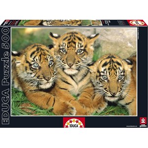 Educa (15965) - "Tiger Cubs" - 500 pezzi