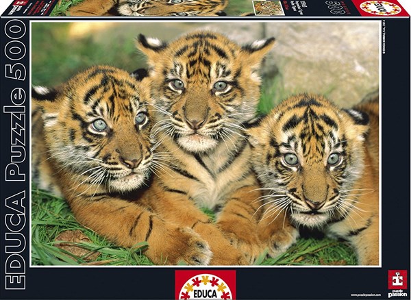 Educa (15965) - "Tiger Cubs" - 500 pezzi