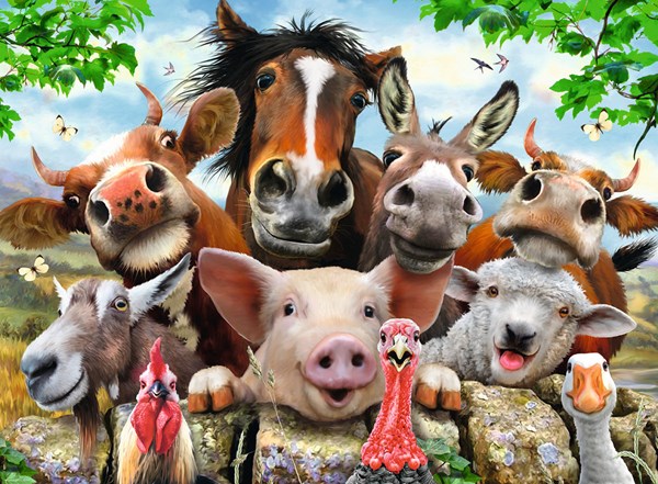 Ravensburger (13207) - Howard Robinson: "Say Cheese!" - 300 pezzi