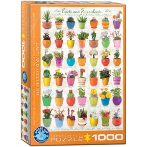 Eurographics (6000-0654) - "Cacti and Succulents" - 1000 pezzi