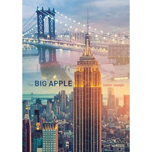 Trefl (103939) - "New York at Dawn" - 1000 pezzi