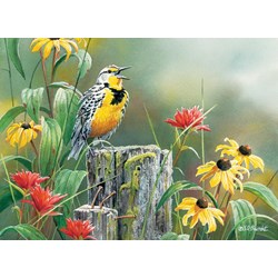 Cobble Hill (51720) - "Meadowlark Morning" - 1000 pezzi