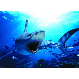 Eurographics (6000-0299) - "Hungry Shark" - 1000 pezzi