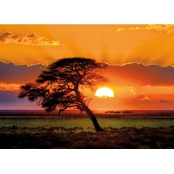 Heye (29689) - "Sunny Tree" - 1000 pezzi