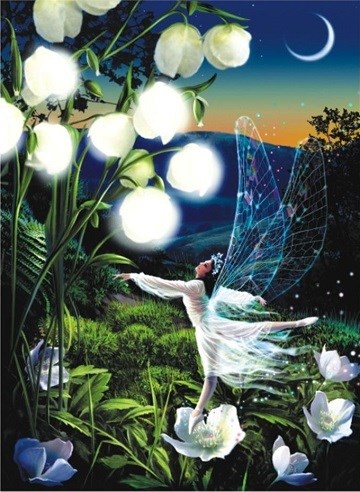 Anatolian (PER3148) - "Fairy Dance" - 1000 pezzi