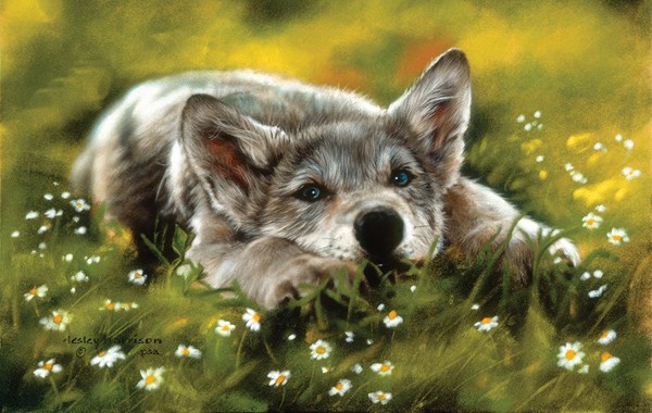 SunsOut (24755) - Leslie Harrison: "No Worries" - 550 pezzi