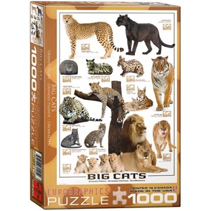 Eurographics (6000-0125) - "Big Cats" - 1000 pezzi
