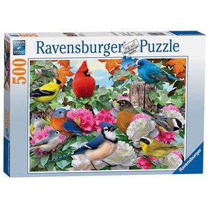Ravensburger (14223) - Howard Robinson: "Garden Birds" - 500 pezzi