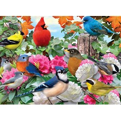 Ravensburger (14223) - Howard Robinson: "Garden Birds" - 500 pezzi