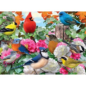 Ravensburger (14223) - Howard Robinson: "Garden Birds" - 500 pezzi