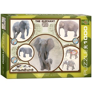 Eurographics (6000-0241) - "The Elephant" - 1000 pezzi