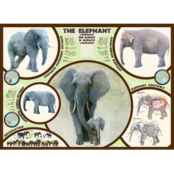 Eurographics (6000-0241) - "The Elephant" - 1000 pezzi