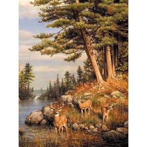 Buffalo Games (11168) - James Hautman: "Deer and Pines" - 1000 pezzi