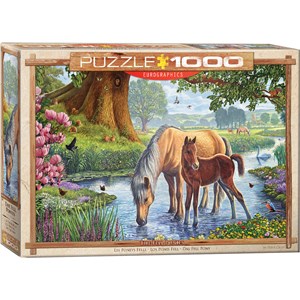 Eurographics (6000-0976) - Steve Crisp: "The Fell Ponies" - 1000 pezzi