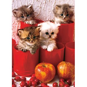 Eurographics (6000-4674) - "Kittens in Pots" - 1000 pezzi
