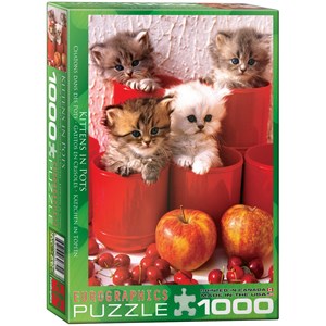 Eurographics (6000-4674) - "Kittens in Pots" - 1000 pezzi