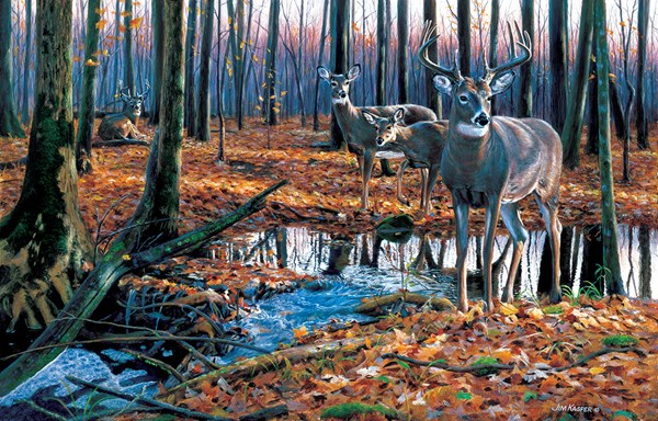 SunsOut (46556) - Jim Kasper: "After the Rain" - 1000 pezzi