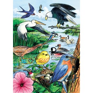 Cobble Hill (58809) - "North American Birds" - 35 pezzi