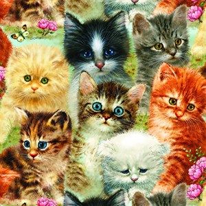 SunsOut (37116) - Greg Giordano: "A Pile of Kittens" - 1000 pezzi