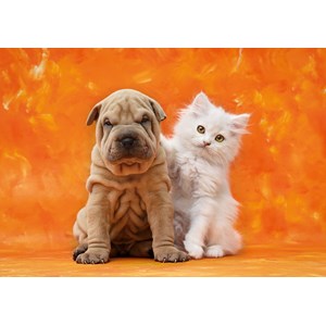 Clementoni (31634) - "So Cute" - 1500 pezzi