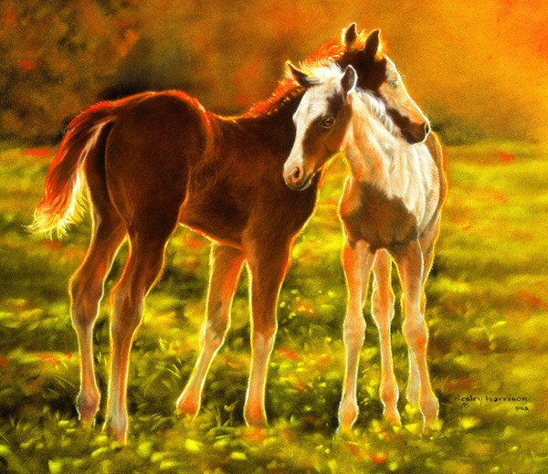 SunsOut (39506) - "Backlit Foals" - 550 pezzi