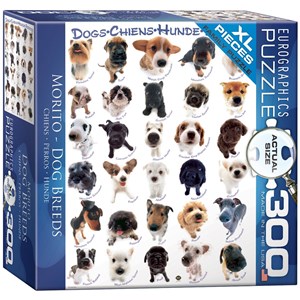 Eurographics (8300-1510) - "Dog Breeds" - 300 pezzi