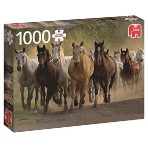 Jumbo (18541) - "Team of Horses" - 1000 pezzi