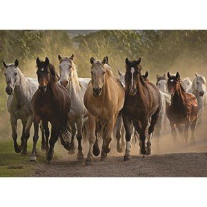 Jumbo (18541) - "Team of Horses" - 1000 pezzi