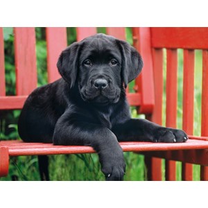 Clementoni (30346) - "The Black Dog" - 500 pezzi