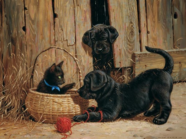 Cobble Hill (52068) - "Nosy Neighbors" - 500 pezzi