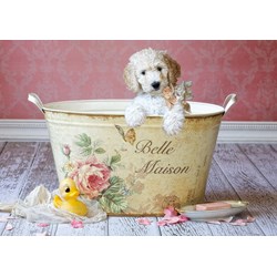 Educa (16736) - Lisa Jane: "Belle Maison" - 500 pezzi