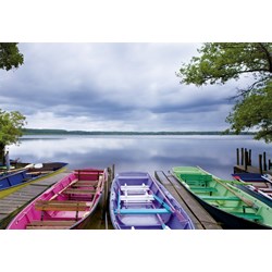 Educa (15984) - "Changing Seasons" - 1000 pezzi