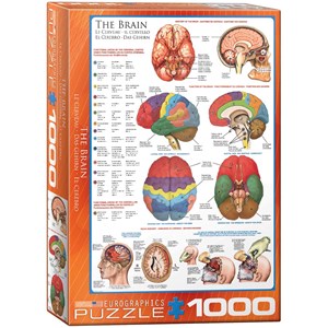 Eurographics (6000-0256) - "The Brain" - 1000 pezzi