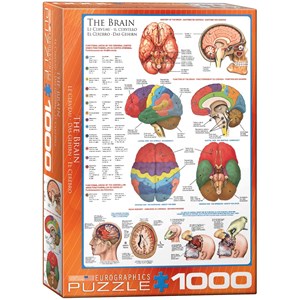 Eurographics (6000-0256) - "The Brain" - 1000 pezzi