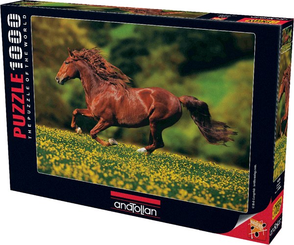 Anatolian (PER1026) - "Freedom" - 1000 pezzi