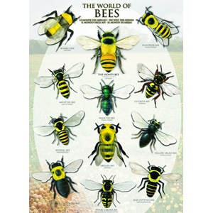 Eurographics (6000-0230) - "The World of Bees" - 1000 pezzi